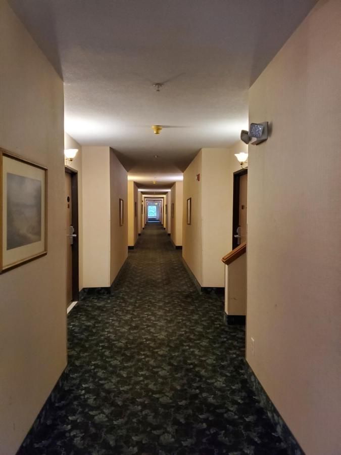 Bellis Inn Bellingham Ngoại thất bức ảnh