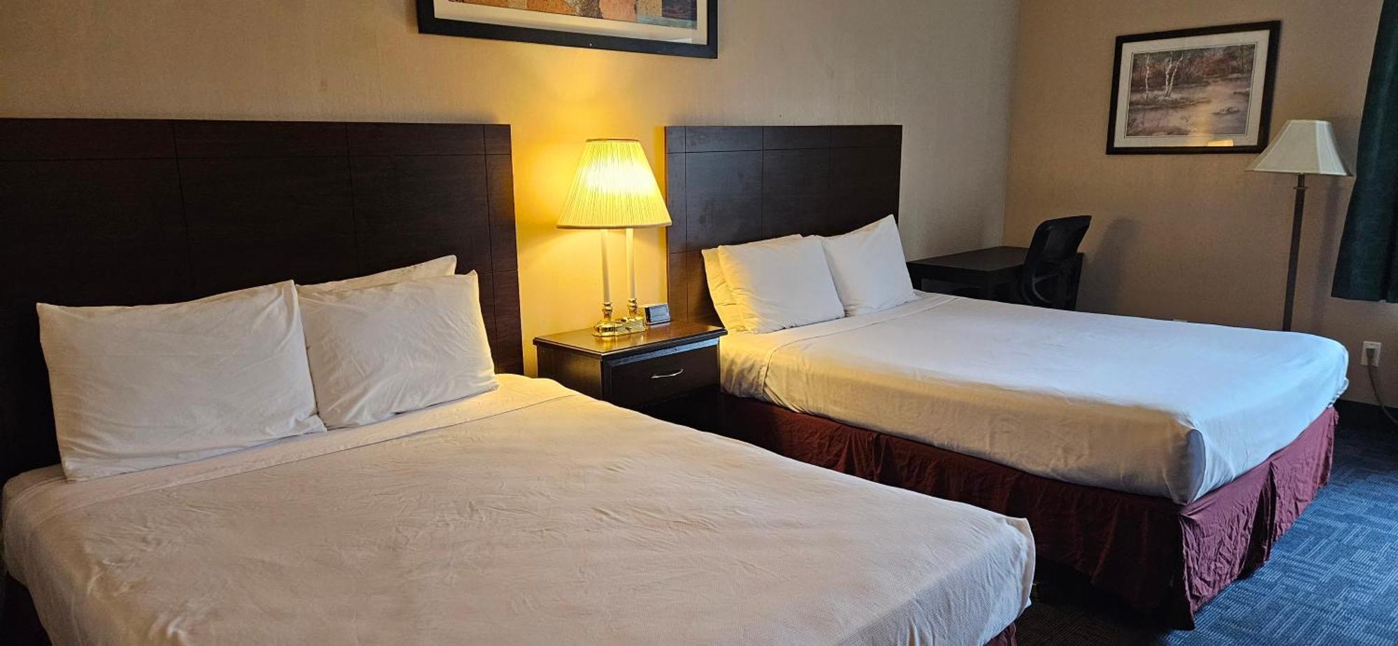 Bellis Inn Bellingham Ngoại thất bức ảnh