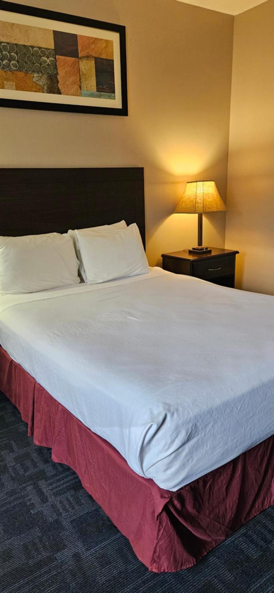 Bellis Inn Bellingham Ngoại thất bức ảnh
